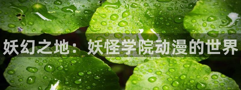 原神禁动漫天堂可莉：妖幻之地：妖怪学院动漫的世界