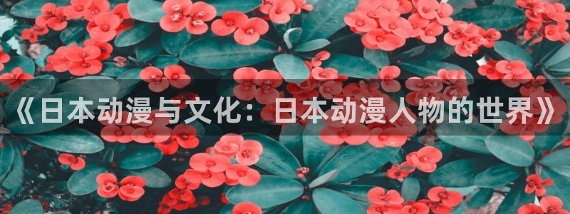 秋叶原动漫天堂：《日本动漫与文化：日本动漫人物的世界》