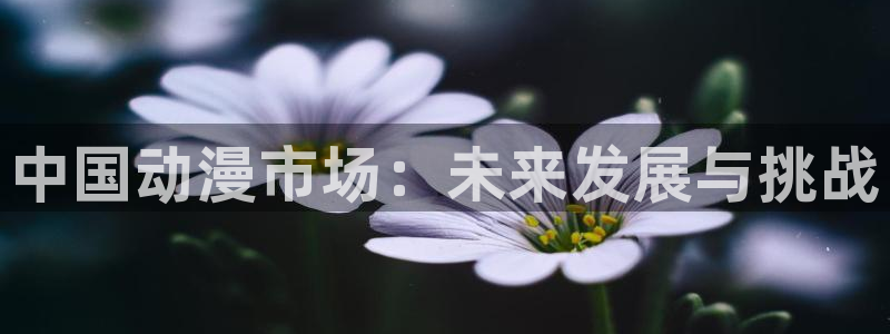 www.动漫天堂：中国动漫市场：未来发展与挑战