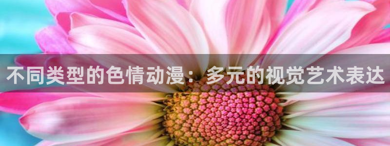 内地动漫天堂：不同类型的色情动漫：多元的视觉艺术表达