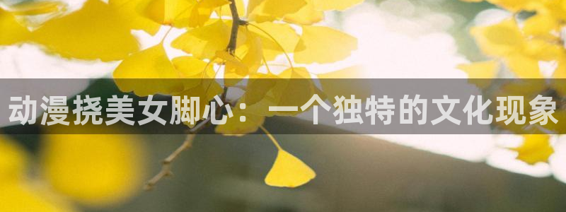 动漫天堂18：动漫挠美女脚心：一个独特的文化现象