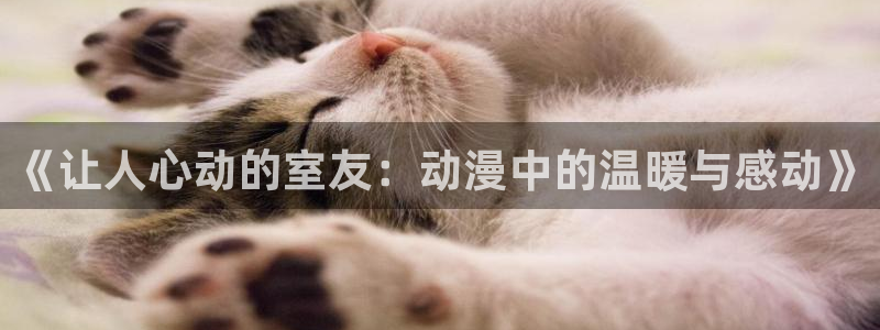 动漫天堂下载安装最新版：《让人心动的室友：动漫中的温暖与感动》