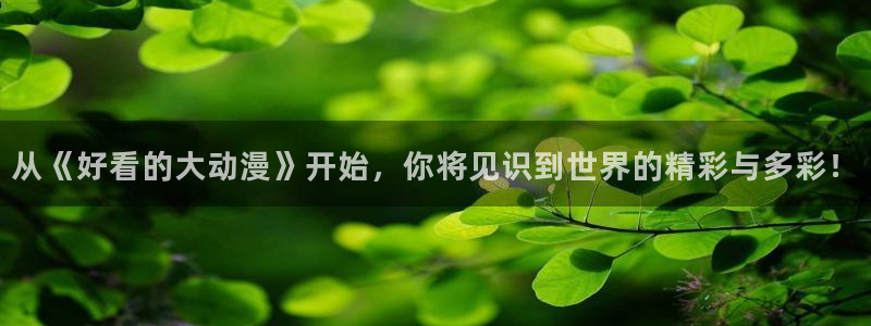 动漫天堂之吻：从《好看的大动漫》开始，你将见识到世界的精彩与多彩！