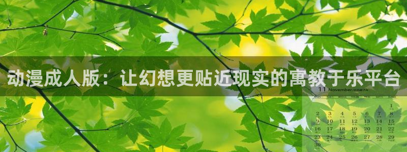 动漫天堂下载安装最新版：动漫成人版：让幻想更贴近现实的寓教于乐平台