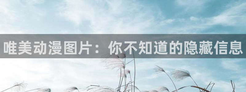 动漫天堂岛：唯美动漫图片：你不知道的隐藏信息