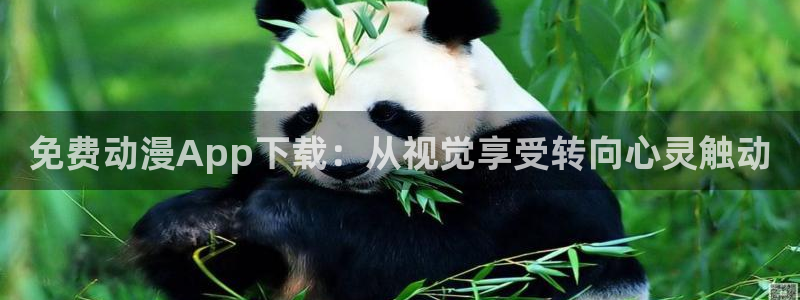 3d动漫天堂网：免费动漫App下载：从视觉享受转向心灵触动