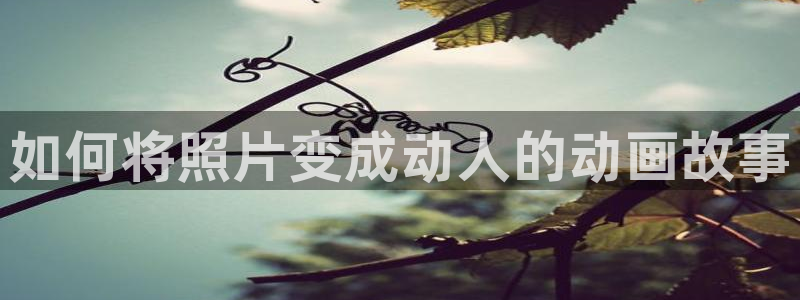 动漫天堂3d：如何将照片变成动人的动画故事