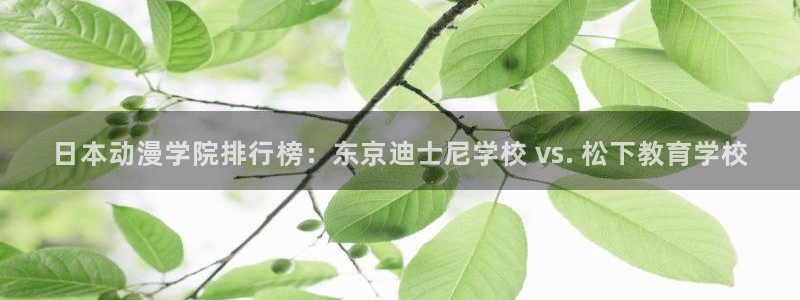 动漫天堂.cc：日本动漫学院排行榜：东京迪士尼学校 vs. 松下教育学校