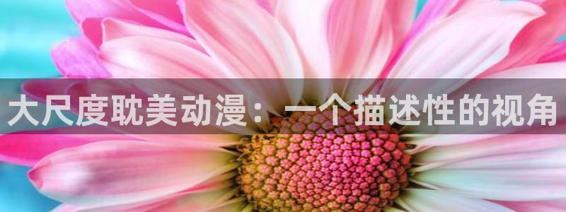 bt动漫天堂：大尺度耽美动漫：一个描述性的视角